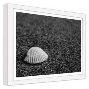 CARO Obraz v ráme - A Seashell On The Sand 40x30 cm Biela