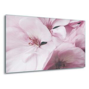 Sklenený obraz - Pink Petals 60x40 cm