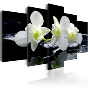 Obraz na plátne - Melancholic orchids 100x50 cm