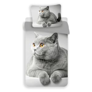 UNIVERSAL DESIGN MICRO 3D Obliečky Grey cat 140/200, 70/90 cm