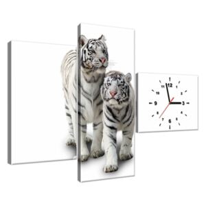 Obraz s hodinami Biele tigre 100x70cm ZP1270A_3AW