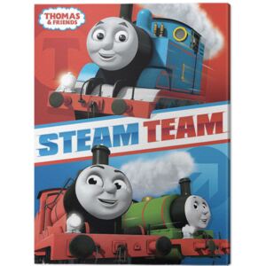Obraz na plátne Thomas Friends - Steam Team, (30 x 40 cm)
