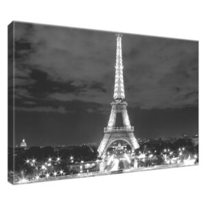 Obraz na plátne Eiffelova veža čierno-biela 30x20cm 518A_1T