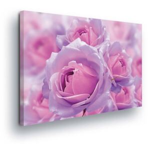 Obraz na plátne - Glittering Fialk Flowers II 60x40 cm