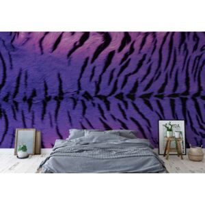 GLIX Fototapeta - Tiger Animal Purple Vliesová tapeta - 416x254 cm