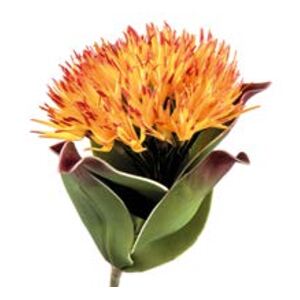 Umelá kvetina Vriesea L´OCA NERA 1P147, H80cm