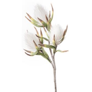 Umelá kvetina White Callistemon 1P120