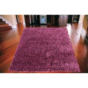 Kusový koberec Shaggy vlas 50mm fialový, Velikosti 80x150cm