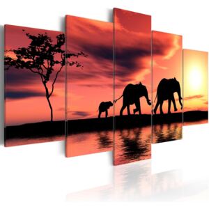 Obraz - African elephants family 100x50