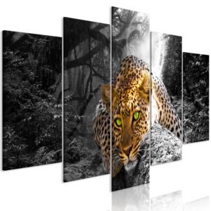 Obraz - Leopard Lying (5 Parts) Wide Grey 100x50