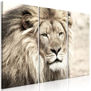 Obraz - The King of Beasts (3 Parts) Beige 90x60