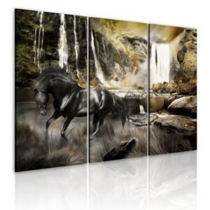 Obraz - Black horse and rocky waterfall 60x40