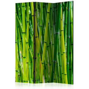Paraván - Bamboo Forest [Room Dividers] 135x172 7-10 dní