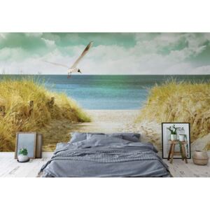 GLIX Fototapeta - Pastel Colours Beach Sand Dune Path Vliesová tapeta - 208x146 cm