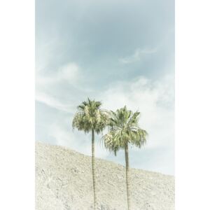 Umelecká fotografia Palm Trees in the desert | Vintage, Melanie Viola