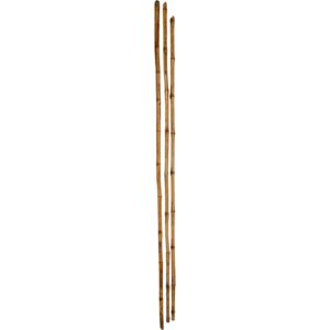 Dlhé bambusové tyčky