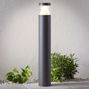 Stĺpikové LED svietidlo Darja tmavosivý 80 cm