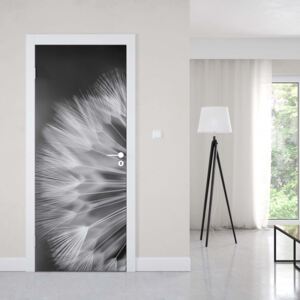 GLIX Fototapeta na dvere - Dandelions Nature Black And White