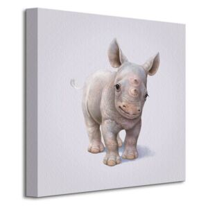 Obraz na plátne Malý nosorožec Butler John 40x40cm WDC95286