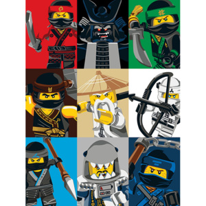 Obraz na plátne Lego Ninjago Movie - Colour Blocks, (60 x 80 cm)