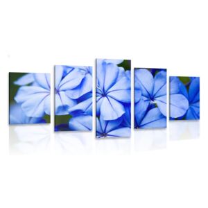 5-dielny obraz divoké modré kvety