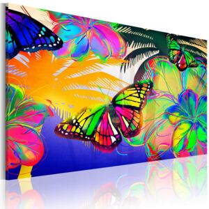 Obraz na plátne - Exotic butterflies 90x60 cm