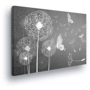 Obraz na plátne - Blooming Dandelions in Gray-White Design 100x75 cm