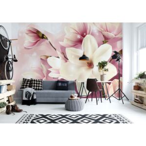 Fototapeta - Magnolia Flowers Pink Vliesová tapeta - 416x254 cm