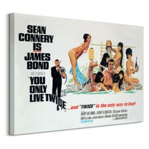 Obraz na plátne James Bond (You only live twice only way to live) 80x60cm WDC99465