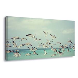 Obraz na plátne - Vintage Seagulls 4 x 30x80 cm