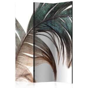 Paraván - Beautiful Feather 135x172cm