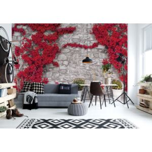 GLIX Fototapeta - Red Flowers Old Stone Wall Vliesová tapeta - 368x254 cm