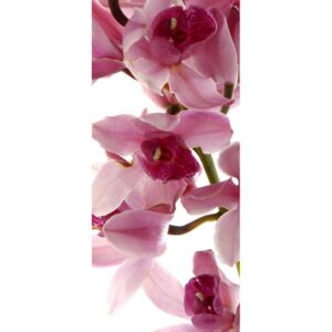 Fototapeta na dvere - Vertical orchid Vliesová tapeta