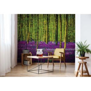 Fototapeta - Purple Forest Trees Papírová tapeta - 184x254 cm