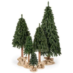 Vianočný stromček Smrek horský na pni 70cm