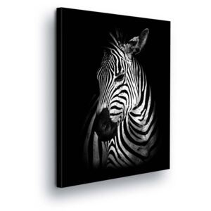 GLIX Obraz na plátne - Black and White Zebra 2 x 40x60 / 2 x 30x80 / 1 x 30x100 cm