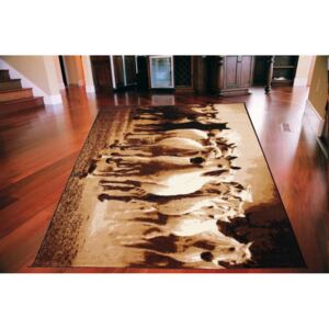 Kusový koberec PP Kone hnedý, Velikosti 120x170cm