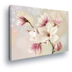 Obraz na plátne - Magical Pink Flowers 80x60 cm