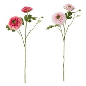 Kvet ružový iskerník 12ks set INDIAN SUMMER