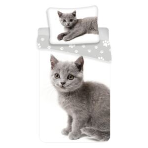 JERRY FABRICS Posteľné obliečky Kočka grey 02, Hladká bavlna, 1x70x90/1x140x200cm, Novinka