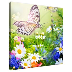 Obraz na plátne Motýle a kvety v krásnej záhrade 30x30cm 2220A_1AI