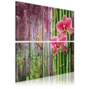 Obraz na plátne - Bambus a orchidea 40x40 cm