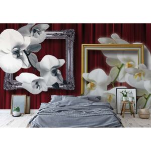 Fototapeta GLIX - Flowers Orchids Frames + lepidlo ZADARMO Vliesová tapeta - 312x219 cm