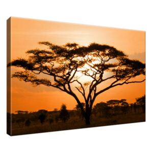 Obraz na plátne Nádherná africká krajina 30x20cm 1462A_1T