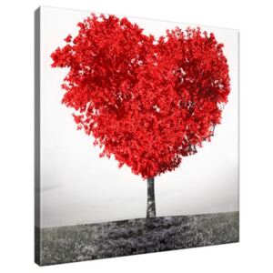 Obraz na plátne Červený strom lásky 30x30cm 2504A_1AI