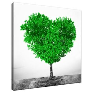 Obraz na plátne Zelený strom lásky 30x30cm 2560A_1AI