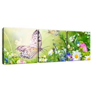 Obraz na plátne Motýle a kvety v krásnej záhrade 90x30cm 2220A_3A