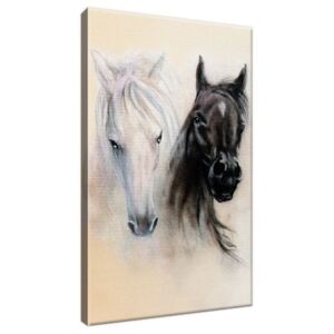 Obraz na plátne Black and White Horses 20x30cm 2502A_1S