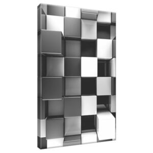 Obraz na plátne Čierno-biele 3D kocky 20x30cm 2821A_1S