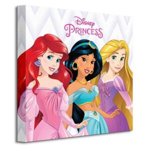 Obraz na plátne Disney Princezny (Ariela, Jasmína a Rapunzel) 40x40cm WDC95524